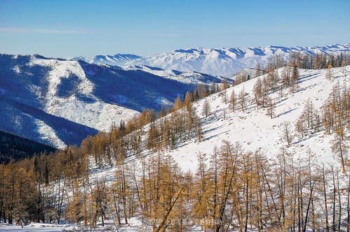 冰雪盛宴 走进中国梦幻雪都阿勒泰 乐途旅游网