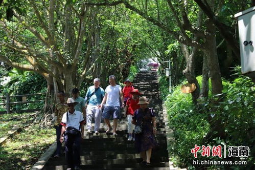 新业态新玩法刺激新市场 海口旅游加快复苏重振步伐